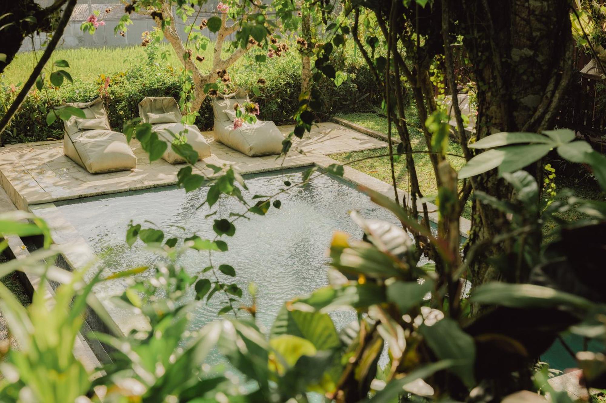 Villa Lumbung Ubud Exteriér fotografie