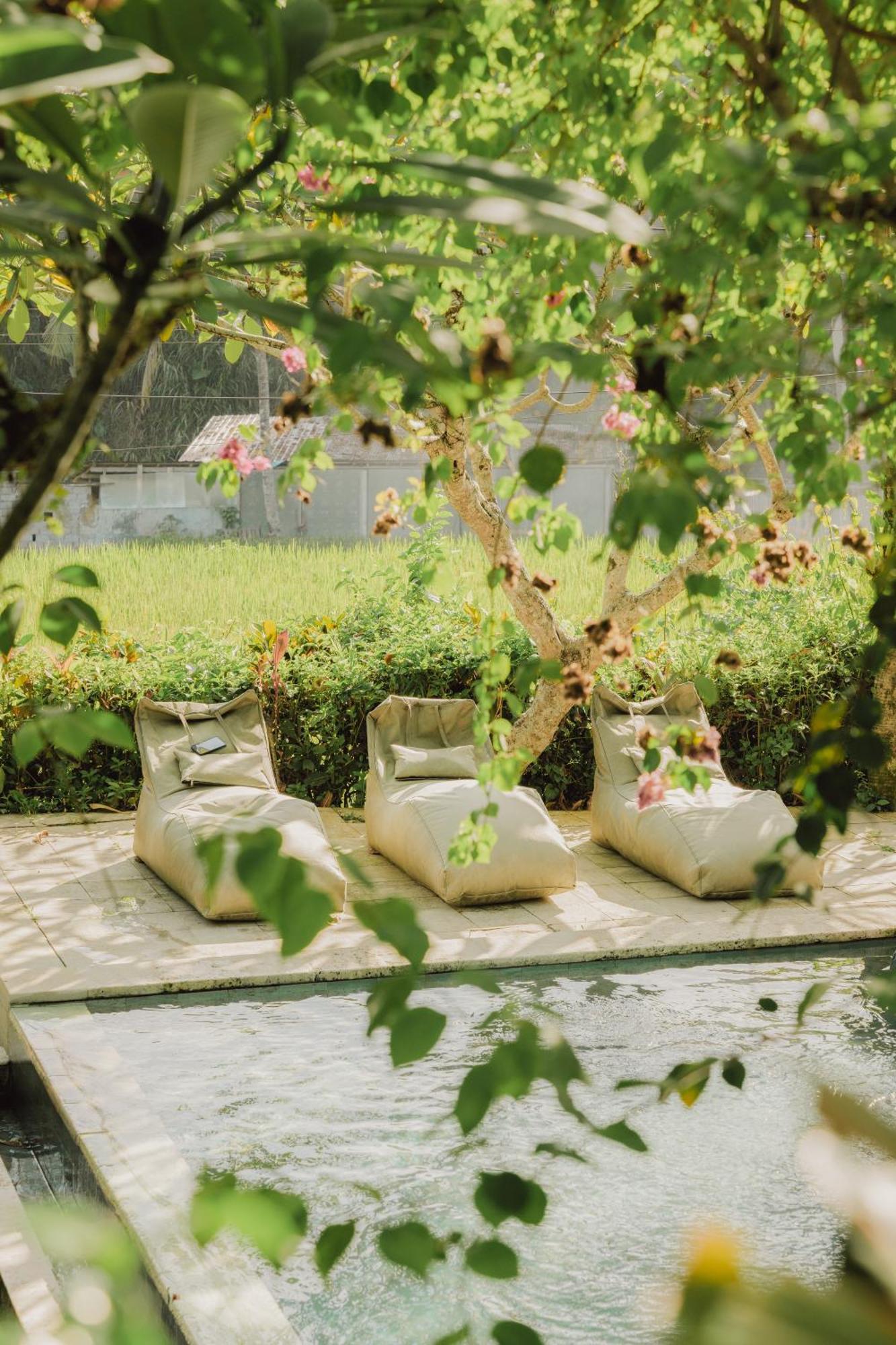 Villa Lumbung Ubud Exteriér fotografie