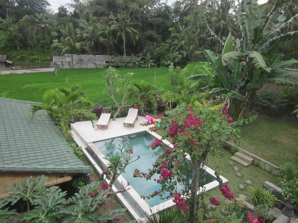 Villa Lumbung Ubud Exteriér fotografie