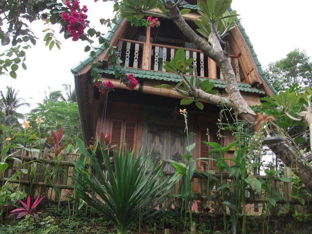 Villa Lumbung Ubud Exteriér fotografie